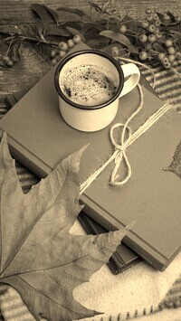 Szary + Sepia