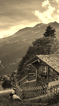 Szary + Sepia