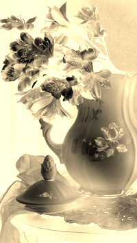 Sepia + Negatyw
