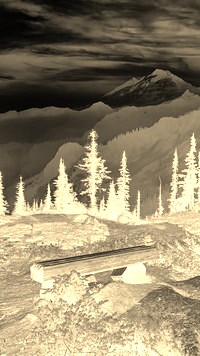 Sepia + Negatyw