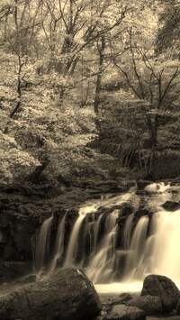 Sepia