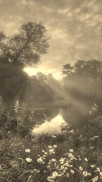 Sepia