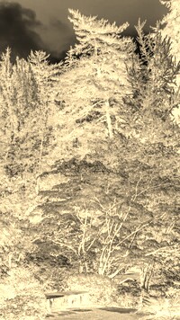 Sepia + Negatyw