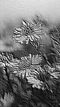 Skamielina