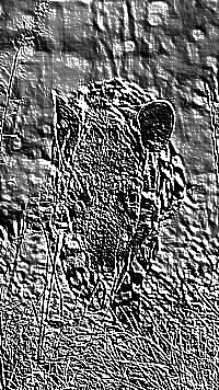 Skamielina