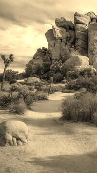 Sepia