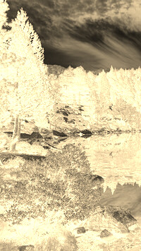 Sepia + Negatyw