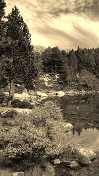 Szary + Sepia