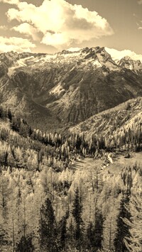 Szary + Sepia