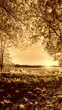 Sepia