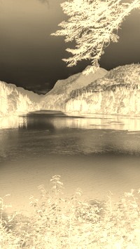 Sepia + Negatyw