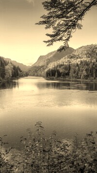 Szary + Sepia