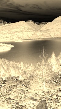 Sepia + Negatyw