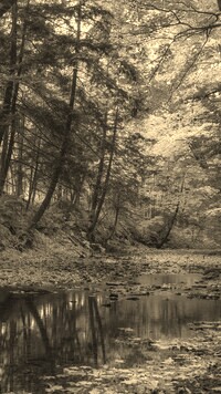 Sepia