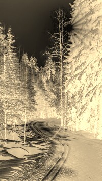 Sepia + Negatyw