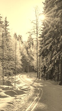 Sepia