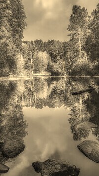 Szary + Sepia