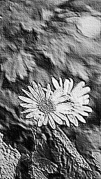 Skamielina