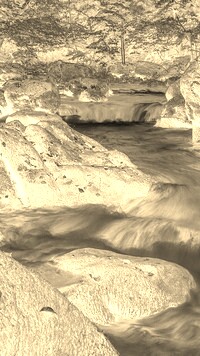 Sepia + Negatyw