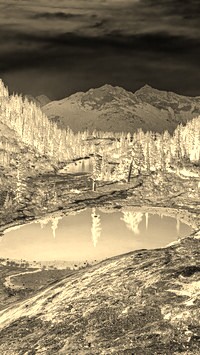 Sepia + Negatyw