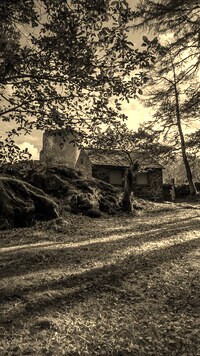 Szary + Sepia