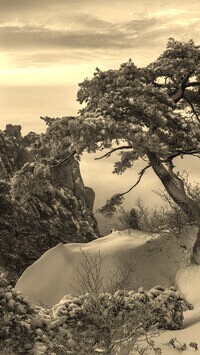 Szary + Sepia