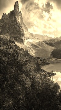 Szary + Sepia