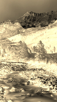 Sepia + Negatyw