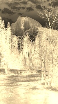 Sepia + Negatyw