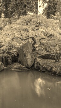 Szary + Sepia