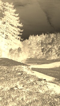 Sepia + Negatyw