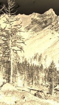 Sepia + Negatyw