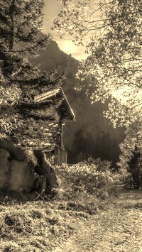 Szary + Sepia