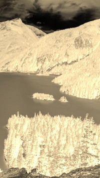 Sepia + Negatyw