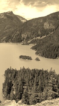 Szary + Sepia