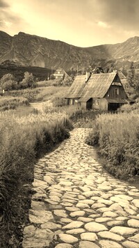 Szary + Sepia