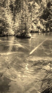 Szary + Sepia