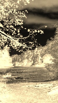 Sepia + Negatyw