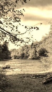 Sepia