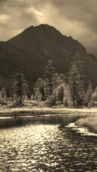 Szary + Sepia