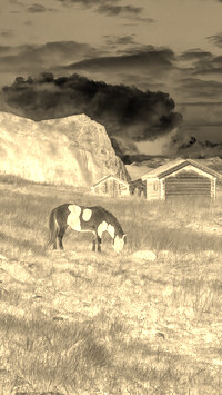 Sepia + Negatyw