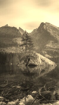 Szary + Sepia