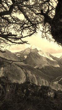 Sepia