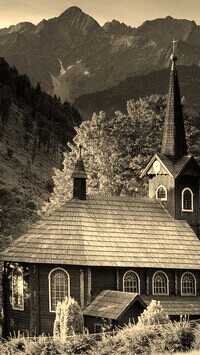 Szary + Sepia