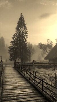 Szary + Sepia
