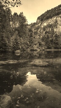 Szary + Sepia