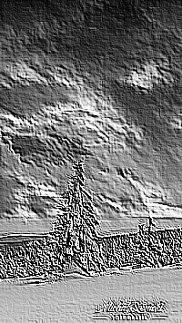 Skamielina
