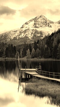 Szary + Sepia