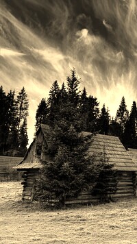 Szary + Sepia