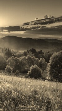 Szary + Sepia
